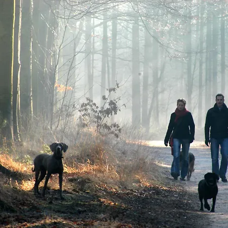 Parkhotel - Venlo Hotel Horst