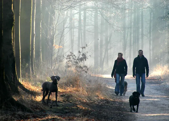 Parkhotel - Venlo Hotel Horst